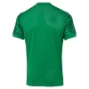 Matchtröjor Fotboll Herr Sporting CP Pre-Match Tröja 2025/26 Kortärmad