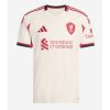 Billiga Fotbollströjor Herr Liverpool Bortatröja 2025/26 Federico Chiesa 14